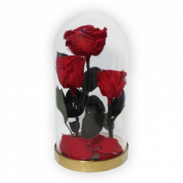 Poza Trandafiri rosii criogenati in cupola aurie