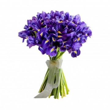 Poza Buchet irisi violet