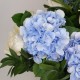Buchet cu hortensii albastre si trandafiri albi p1