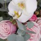 Trandafiri roz si orhidee p2