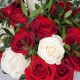 Buchet de lux trandafiri rosii si albi p2